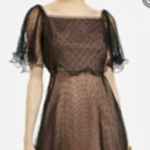 BCBG Mesh two tone black dress